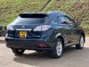 lexus-rx450h-img-6.jpeg